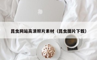 玉环昆虫网站高清照片素材（昆虫图片下载）